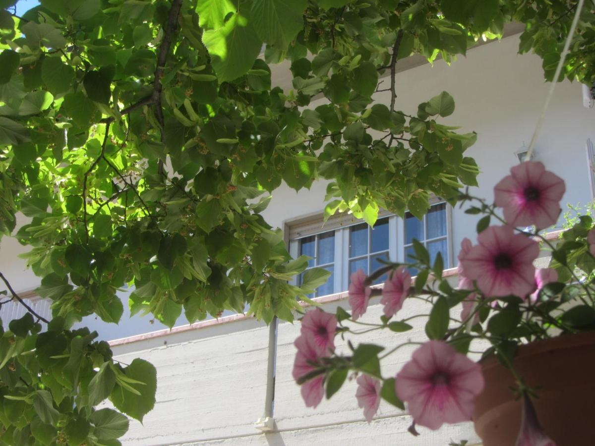 B&B Il Country E Il Mare Martinsicuro Exterior foto